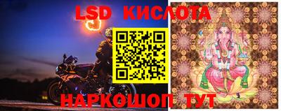 дживик Кунгур