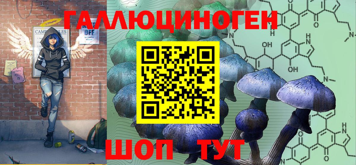Ялуторовск  даркнет сайт  Псилоцибиновые грибы Cubensis  Вход с VPN  Псилоцибиновые грибы Cubensis 